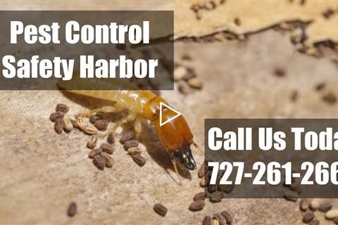 Exterminator In Safety Harbor FL - Domestic Pest Control 24 Hr Bed Bug Control & Termite Treatment