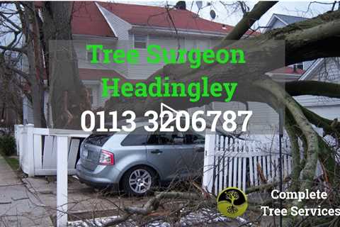 Tree Surgeon Headingley Leeds LS6 - Tree Felling And Removal Services Stump Grinding West Yorkshire