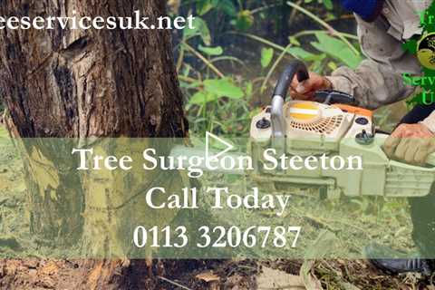 Tree Surgeon Steeton BD20 Emergency Tree Removal Services In Steeton Bradford Tree Felling Near Me