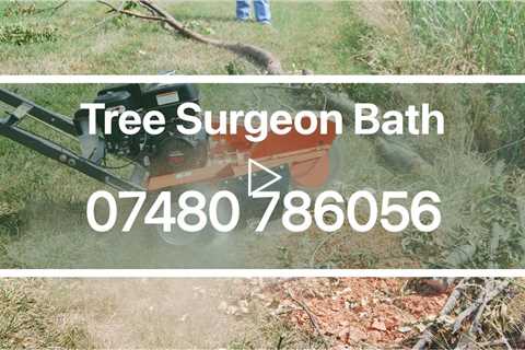 Tree Surgeon Bath Stump & Root Removal & 24 hr Tree Felling Services Residential & Commercial