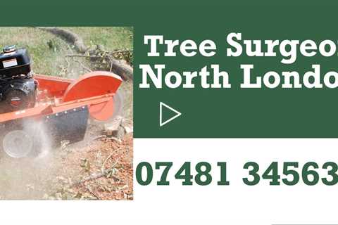 Tree Surgeon North London Root Stump Tree Trimming & Tree Removal Services Throughout Greater London