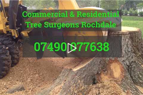 Tree Surgeon Rochdale Tree Felling Pruning Root And Stump Removal Services Near Me