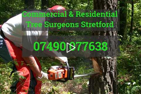 Tree Surgeon Stretford Tree Surgery Root Removal Stump Removal Tree Felling And Other Tree Services