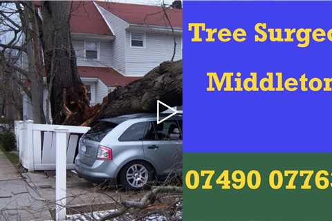 Tree Surgeon Middleton M24 Tree Pruning Felling Stump & Root Removal Both Commercial & Residential