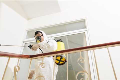 The Very Best Lane End Commercial Cleaning Service