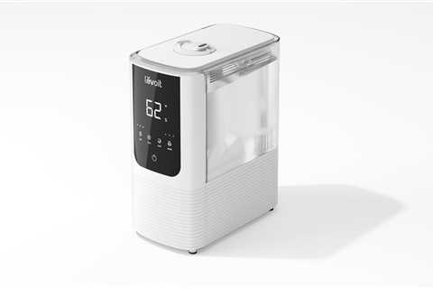 Levoit launches OasisMist Smart Humidifier, the best at-home solution for glowing, healthy skin
