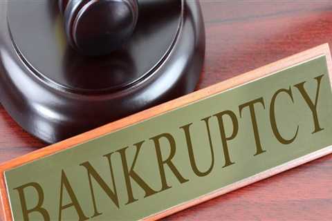 Which branch of government makes bankruptcy laws?