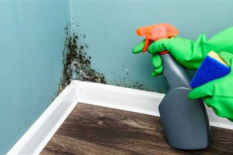 Mold remover must-haves – get rid of it with the best chemical and natural cleaning agent