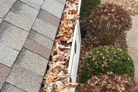 Gutter Cleaning Pittsburgh PA: Clean Pro Gutter Cleaning Pittsburgh