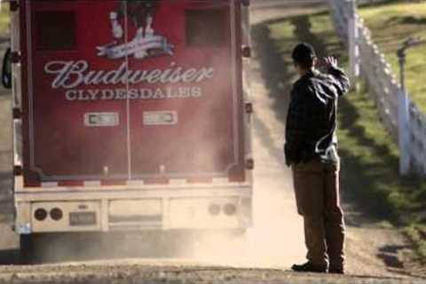 The Clydesdales Brotherhood - 2013 Budweiser Super Bowl  [Commercial]