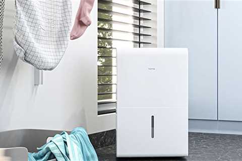 Save $80 on the best selling hOmeLabs dehumidifier on sale