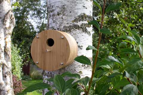 These Sustainable Houses + Feeders Are for the Birds