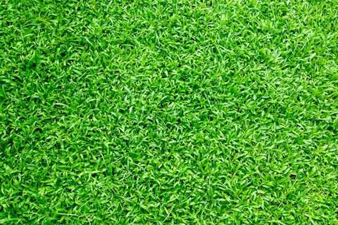 The Unexpected Benefits of Artificial Grass