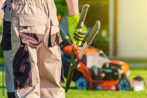 5 Tips for Choosing a Landscaping Company for Your Property