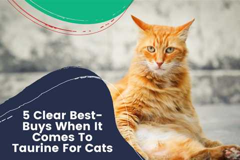 5 Clear Best-Buys When It Comes To Taurine For Cats