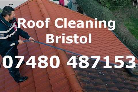 Roof Cleaning Abbots Leigh