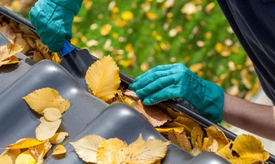 Gutter Cleaning West Hill