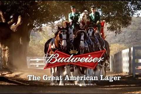 10 Famous Budweiser Super Bowl Commercials