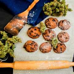 Guide to Edible Cannabis