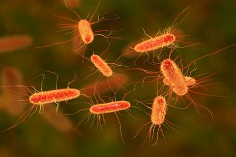 How Antidepressants Help Bacteria Resist Antibiotics