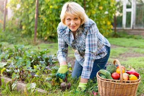 How To Start a Regenerative Garden in Your Backyard