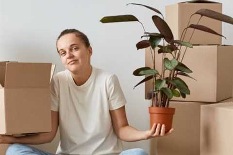 How to Handle Lost Items During a Move