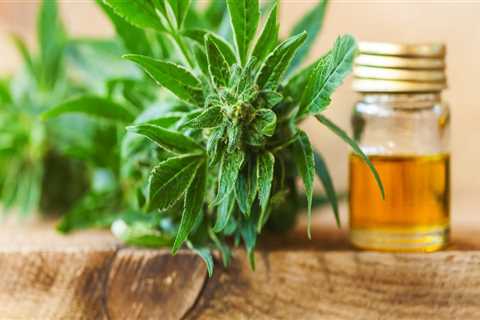 When does hemp oil expire?