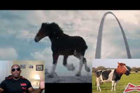 Budweiser Attempts New Ad But Are The Horses Trans Now? Commercial Fails Miserably