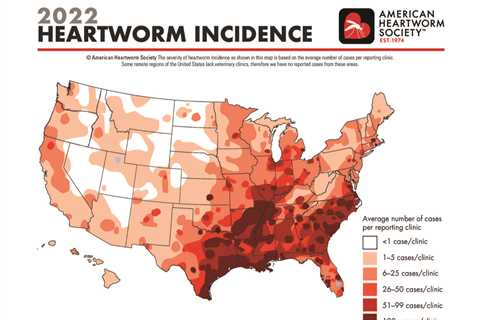 Can We Win the War on Heartworms? The New AHS Heartworm Incidence Survey Offers Clues | VETgirl..