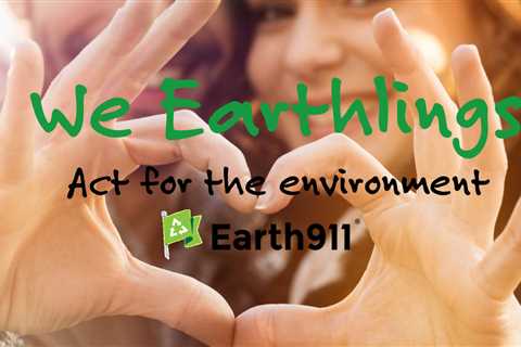 We Earthlings: Be Green on a Small Budget