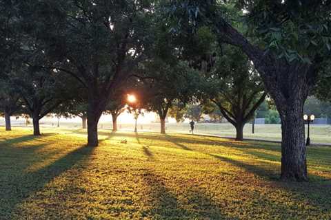 6 Popular Parks in Oxnard, CA That Locals Love