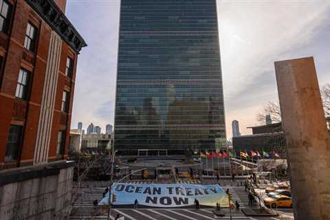 Nations Agree on Language for Historic Treaty to Protect Ocean Life