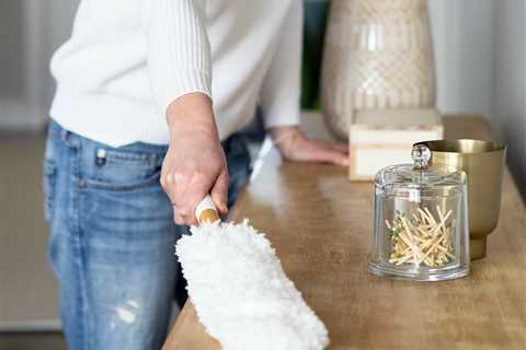 How to Remove Dust from Your Home