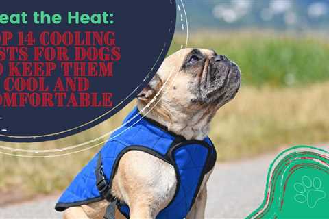 Beat the Heat: Top 14 Cooling Vests for Dogs to Keep Them Cool and Comfortable