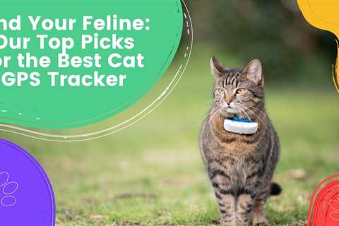 Find Your Feline: Our Top Picks for the Best Cat GPS Tracker