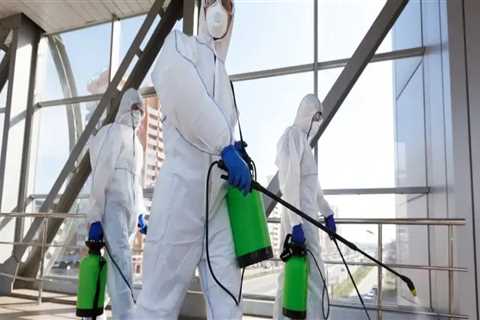 The Importance Of Mold Removal Services In Ohio Following A Commercial Building Maintenance