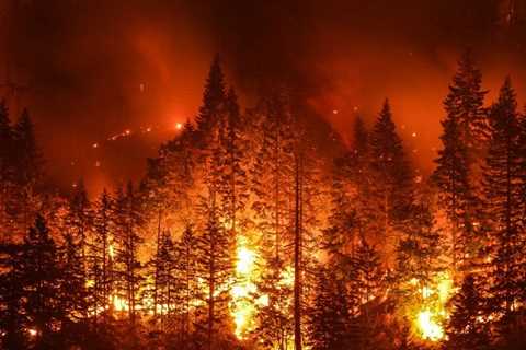 Hueston Hennigan Steps in as Defense Counsel in Lawsuit Over 2017 'Creek Fire' That Burned 15,000..