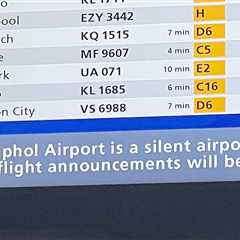 The Scourge of Airport Noise