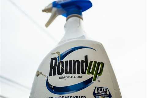 New Senate Bill Threatens Pending and Future Roundup Lawsuits, Opposing Groups Claim