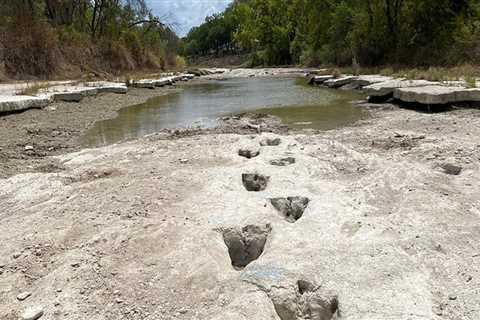 Exploring the Past: Uncovering Fascinating Artifacts in Harris County