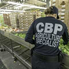 Borderlands: Port Laredo No. 1 for US-Mexico agricultural trade, report shows