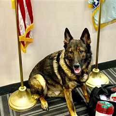 Ohio officer loses battle to keep K-9 partner after transferring departments