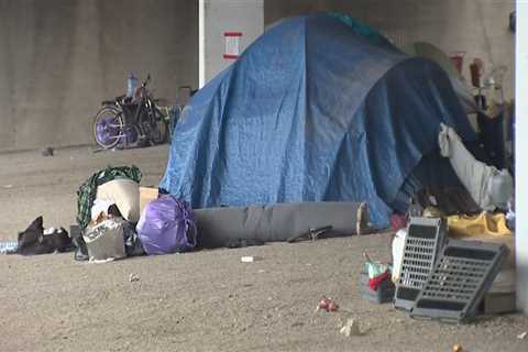 Substance Abuse Issues Faced by Homeless Individuals in Travis County, Texas