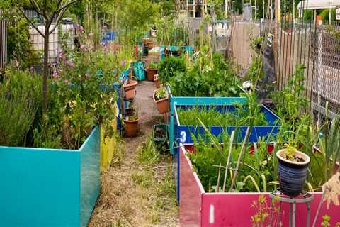 Engaging Local Communities in London: How Urban Farmers Can Make a Difference