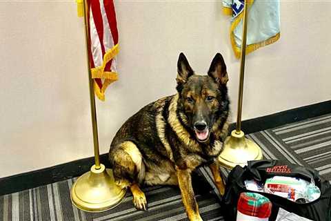 Ohio officer loses battle to keep K-9 partner after transferring departments