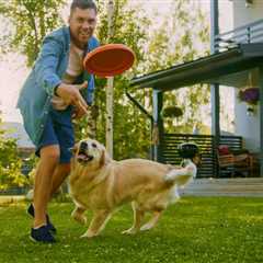 5 Dog-Friendly Fertilizers for Your Lawn