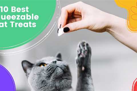 10 Best Squeezable Cat Treats