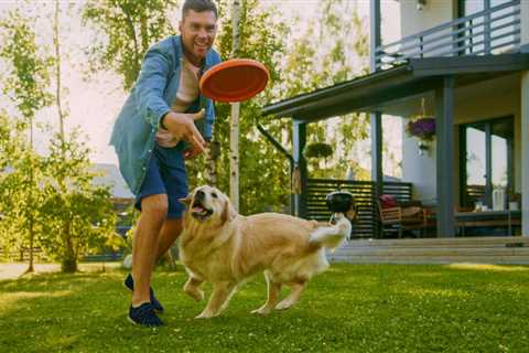 5 Dog-Friendly Fertilizers for Your Lawn