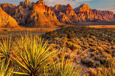 Is Las Vegas Built in the Middle of a Desert?