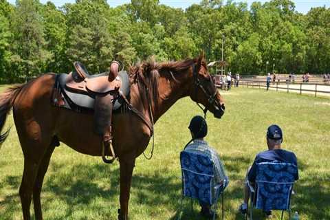 The 10 Best Horseback Riding Spots in Suffolk County, NY